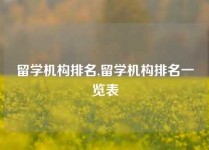 留学机构排名,留学机构排名一览表