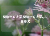 莫瑞州立大学,莫瑞州立大学qs世界排名