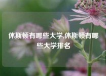 休斯顿有哪些大学,休斯顿有哪些大学排名