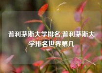 普利茅斯大学排名,普利茅斯大学排名世界第几