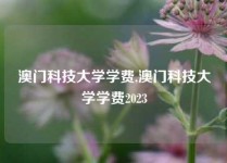 澳门科技大学学费,澳门科技大学学费2023