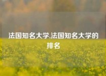 法国知名大学,法国知名大学的排名