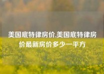 美国底特律房价,美国底特律房价最新房价多少一平方