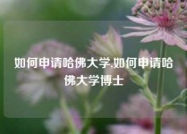 如何申请哈佛大学,如何申请哈佛大学博士