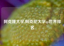 阿克隆大学,阿克伦大学qs世界排名