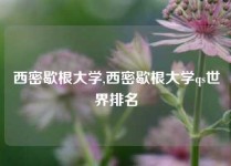 西密歇根大学,西密歇根大学qs世界排名