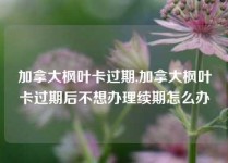 加拿大枫叶卡过期,加拿大枫叶卡过期后不想办理续期怎么办