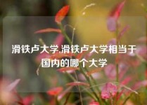 滑铁卢大学,滑铁卢大学相当于国内的哪个大学