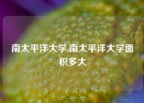 南太平洋大学,南太平洋大学面积多大