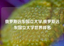 俄罗斯远东国立大学,俄罗斯远东国立大学世界排名