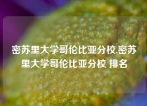 密苏里大学哥伦比亚分校,密苏里大学哥伦比亚分校 排名