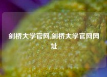 剑桥大学官网,剑桥大学官网网址