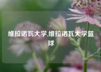 维拉诺瓦大学,维拉诺瓦大学篮球