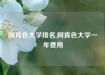 阿肯色大学排名,阿肯色大学一年费用