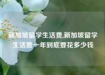 新加坡留学生活费,新加坡留学生活费一年到底要花多少钱