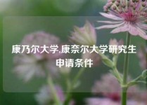 康乃尔大学,康奈尔大学研究生申请条件