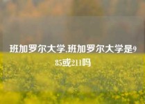 班加罗尔大学,班加罗尔大学是985或211吗