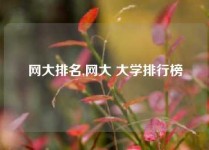 网大排名,网大 大学排行榜