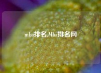 mba排名,Mba排名网