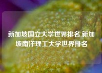 新加坡国立大学世界排名,新加坡南洋理工大学世界排名