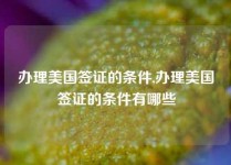 办理美国签证的条件,办理美国签证的条件有哪些