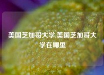 美国芝加哥大学,美国芝加哥大学在哪里