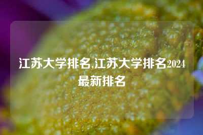 江苏大学排名,江苏大学排名2024最新排名