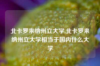 北卡罗来纳州立大学,北卡罗来纳州立大学相当于国内什么大学