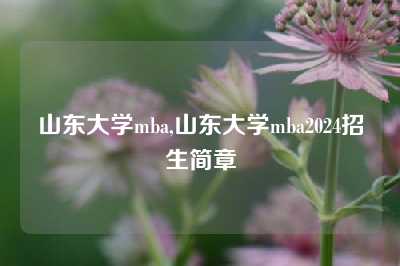 山东大学mba,山东大学mba2024招生简章