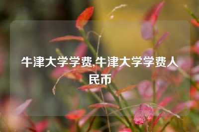 牛津大学学费,牛津大学学费人民币