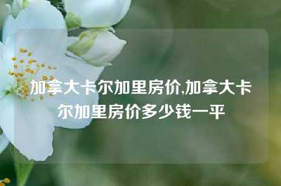 加拿大卡尔加里房价,加拿大卡尔加里房价多少钱一平