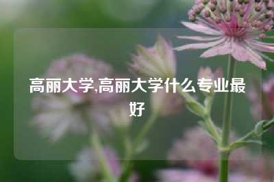 高丽大学,高丽大学什么专业最好