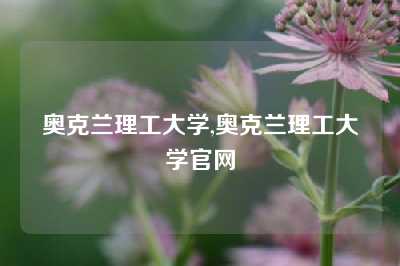 奥克兰理工大学,奥克兰理工大学官网