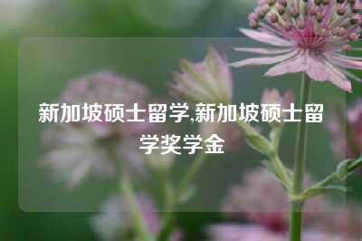 新加坡硕士留学,新加坡硕士留学奖学金