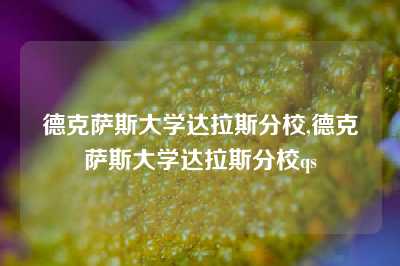 德克萨斯大学达拉斯分校,德克萨斯大学达拉斯分校qs