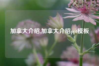 加拿大介绍,加拿大介绍ppt模板