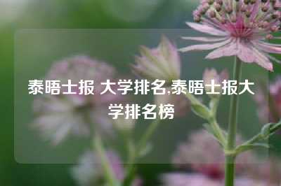 泰晤士报 大学排名,泰晤士报大学排名榜