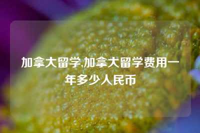 加拿大留学,加拿大留学费用一年多少人民币