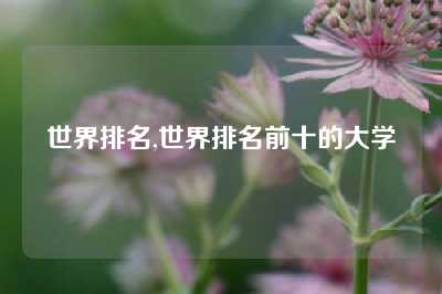 世界排名,世界排名前十的大学