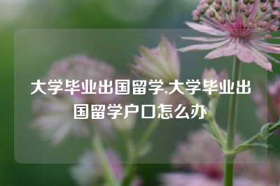 大学毕业出国留学,大学毕业出国留学户口怎么办