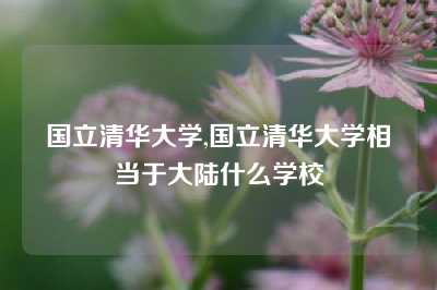 国立清华大学,国立清华大学相当于大陆什么学校