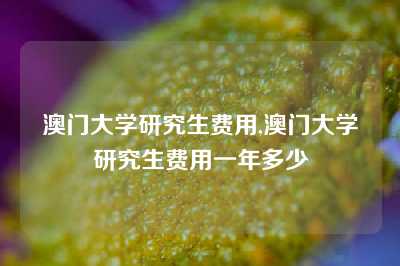 澳门大学研究生费用,澳门大学研究生费用一年多少