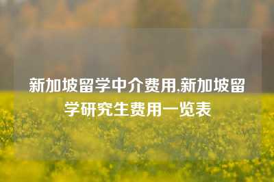 新加坡留学中介费用,新加坡留学研究生费用一览表