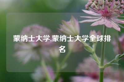 蒙纳士大学,蒙纳士大学全球排名