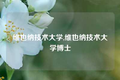 维也纳技术大学,维也纳技术大学博士