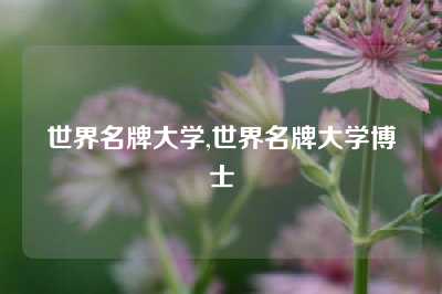 世界名牌大学,世界名牌大学博士