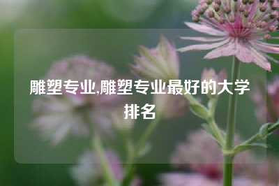 雕塑专业,雕塑专业最好的大学排名