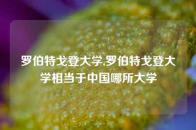 罗伯特戈登大学,罗伯特戈登大学相当于中国哪所大学