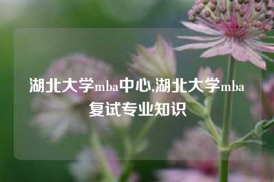 湖北大学mba中心,湖北大学mba复试专业知识