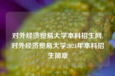 对外经济贸易大学本科招生网,对外经济贸易大学2021年本科招生简章